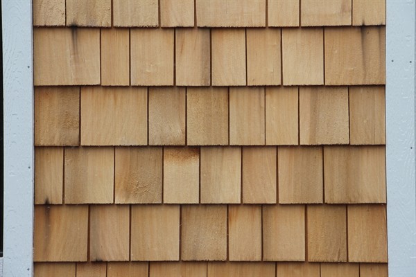 Gallery Image 9DDC8451-B999-4058-9110-2AE74A8C871F_1_105_c_(1).jpeg