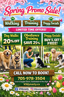 K9 Dynasty - Port Elgin