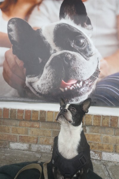 In-store Socialisation Training