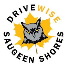 DriveWise Saugeen Shores