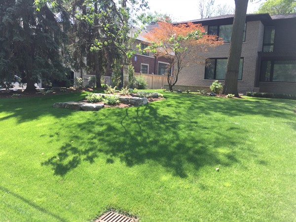 Gallery Image Open_Yard.jpg