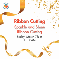 Sparkle & Shine Cleaning Services of West MI Ribbon Cutting