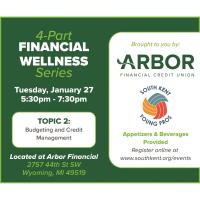 Financial Wellness for YoungPro's