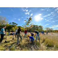 Lunch'n'Learn Presented by MiSBF for Green Stormwater Infrastructure