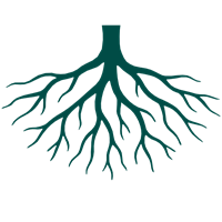 Root Software LLC
