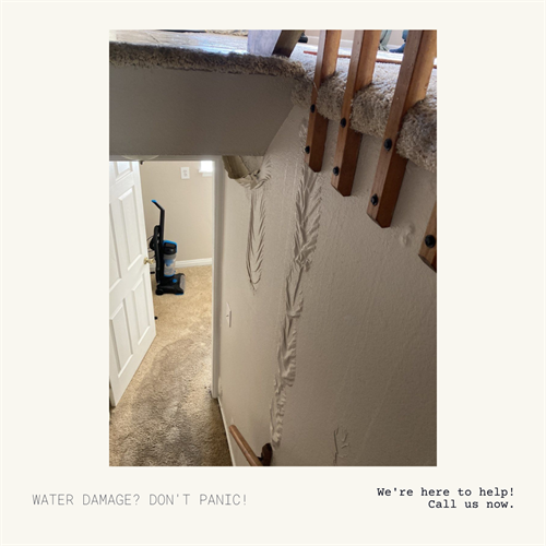 Gallery Image Water_Damage_03.png