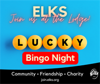 BINGO NIGHT at Westminster Elks #2227 (Member Event)