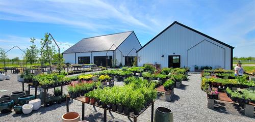 Gallery Image 1000015969.jpg