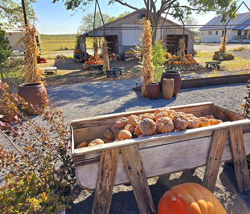 Gallery Image 1000051298.jpg