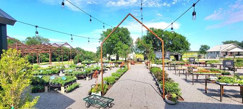 Gallery Image 441948130_997110109091859_2896546051041618157_n.jpg