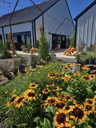 Gallery Image 461511247_1100551492081053_7550309111371820326_n.jpg