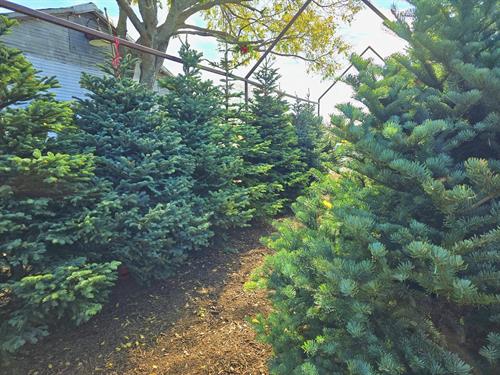 Gallery Image 468278822_1149059230563612_6842782122587606368_n.jpg