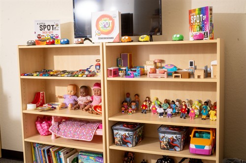 Gallery Image Miniture_and_book_shelf.jpg