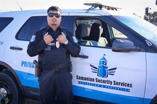 Armed Security