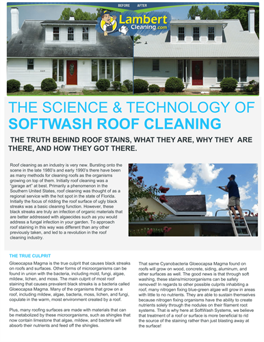 Roof Softwashing + 5 Year Warranty