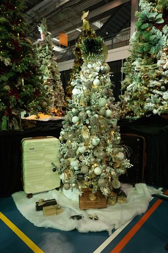 Festival of Trees 2024