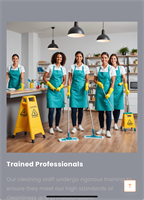 Dustless Cleaning Services Inc