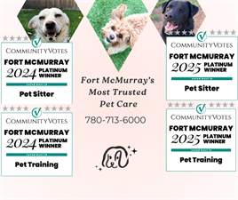 Pawsitive Luxury Inc.