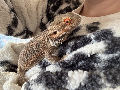 Gallery Image IMG_0902.jpeg