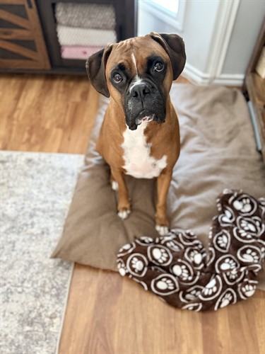 Gallery Image IMG_1108.jpeg