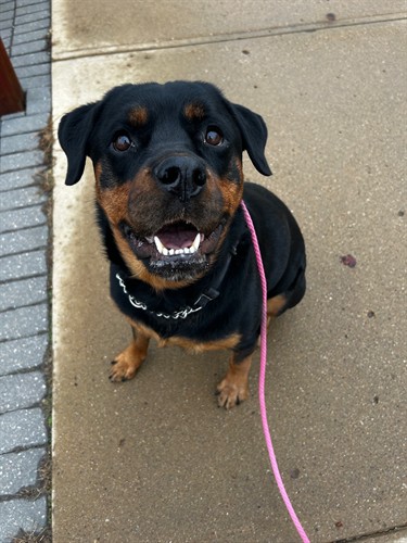 Gallery Image IMG_1407.jpeg