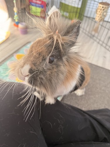 Gallery Image IMG_3590.jpeg