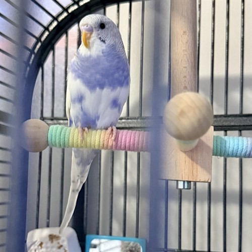 Gallery Image IMG_3624.jpeg