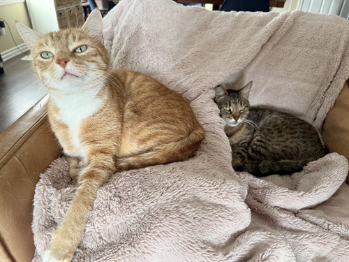 Gallery Image IMG_3632.jpeg