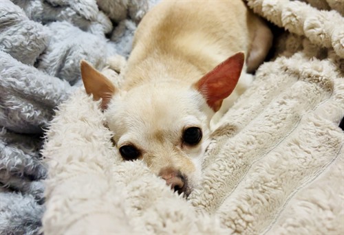 Gallery Image IMG_4145.jpeg