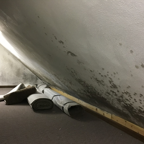 Musty odor in attic and signs of mold.