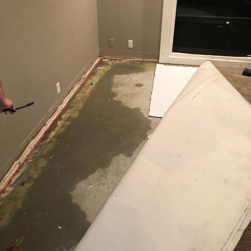 Wet carpet, carpet pad & cement.