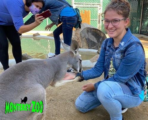 Monterey Zoo visitor w-kangaroo