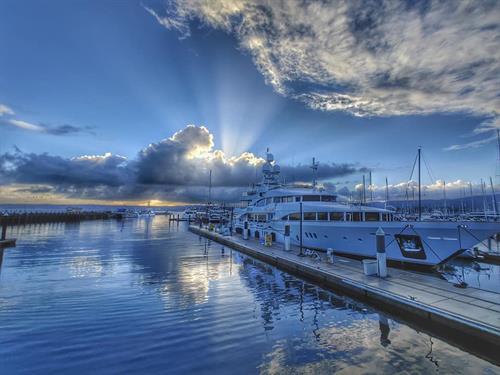 Marina Guest Marina Guest