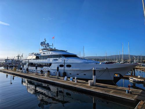 Marina Guest Marina Guest