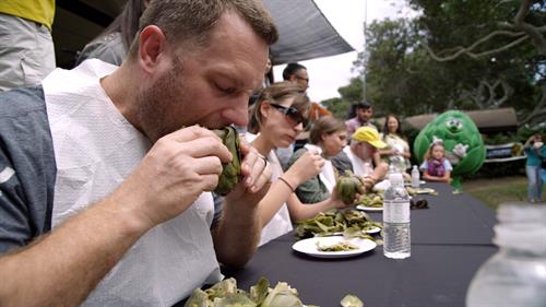 Win bragging rights at the Artichoke Eating contest