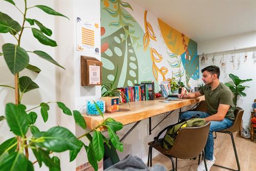 Our redwood bar is ideal for remote workers looking to catch up on emails while traveling Our redwood bar is ideal for remote workers looking to catch up on emails while traveling