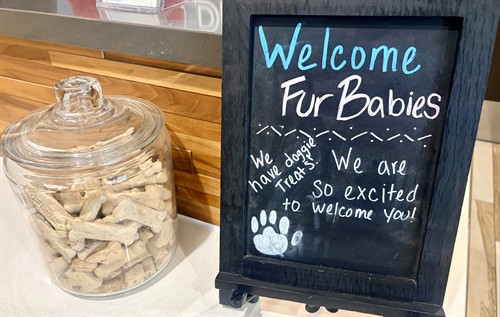 Gallery Image Pet-friendly_sign.jpeg