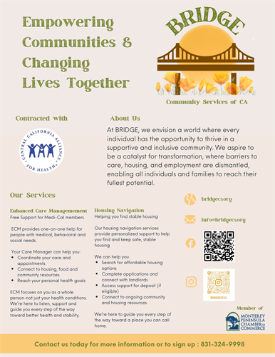 English Flyer