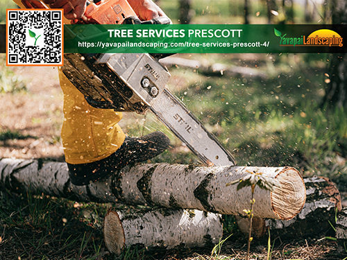 TREE-SERVICES-PRESCOTT-valley