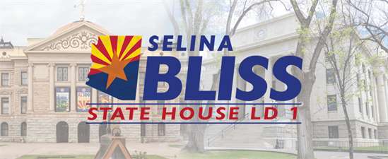 Representative Selina Bliss for the AZ State House