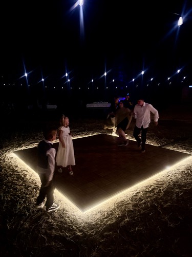 Wedding Guests Enjoying Our Unique Dance Floor