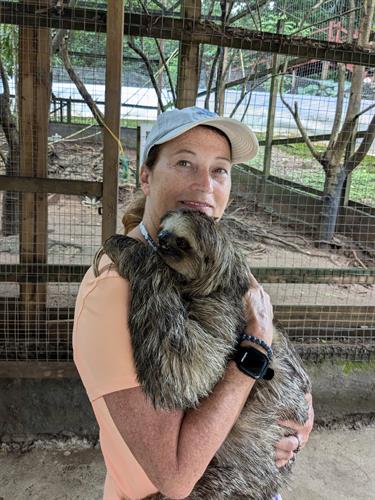 Holding a sloth
