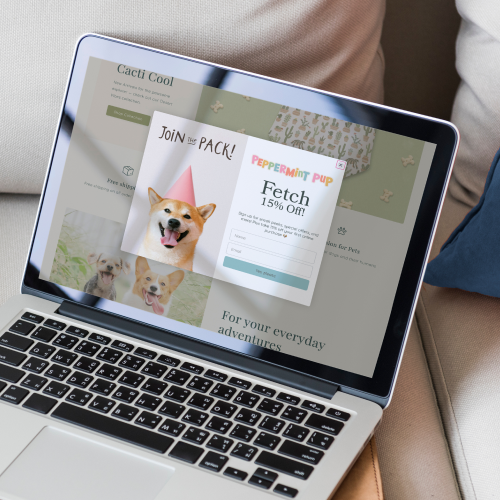Web Design