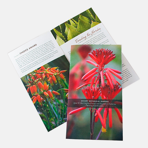 Marketing Materials