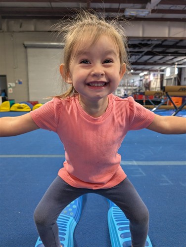 Gallery Image _e_38dc64_3_d2dUd018svc8ol0o9tufu6m_tf7jlc.jpeg