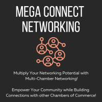 Virtual Mega Connect Multi-Chamber Networking Event