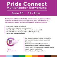 PRIDE Connect: Multichamber Networking