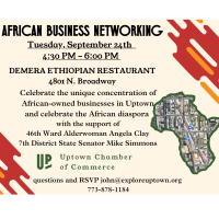 African Owned Business Networking