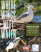 Immersive Art Exhibit