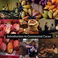 Cacao Ceremony Chicago (Introduction)